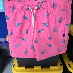 Pink Dinosaur Print Swim Shorts